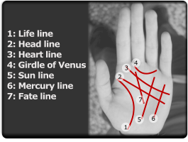 Lines used in palm-reading