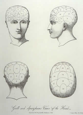 Views of the Head